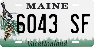 ME license plate 6043SF
