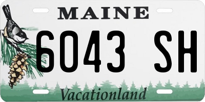 ME license plate 6043SH