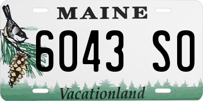 ME license plate 6043SO