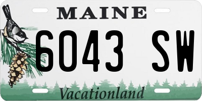 ME license plate 6043SW