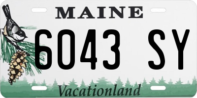 ME license plate 6043SY