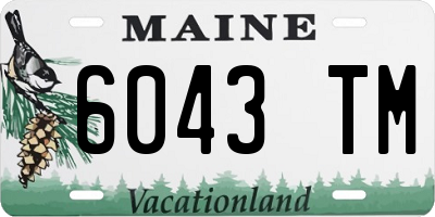 ME license plate 6043TM
