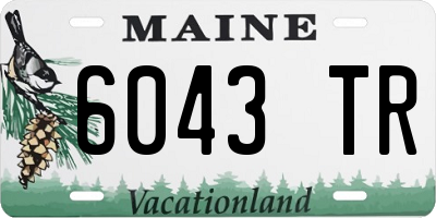 ME license plate 6043TR