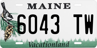 ME license plate 6043TW