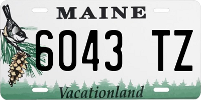 ME license plate 6043TZ