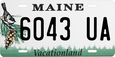 ME license plate 6043UA