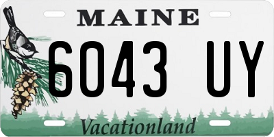 ME license plate 6043UY