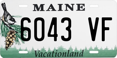 ME license plate 6043VF