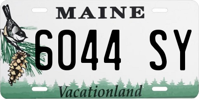 ME license plate 6044SY
