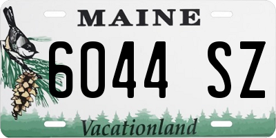 ME license plate 6044SZ