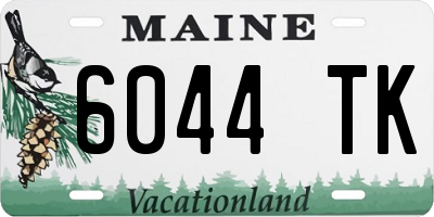 ME license plate 6044TK