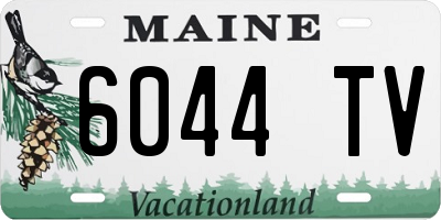 ME license plate 6044TV