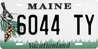 ME license plate 6044TY