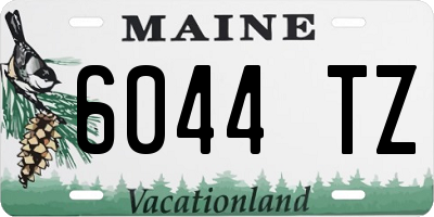 ME license plate 6044TZ