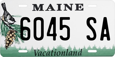 ME license plate 6045SA