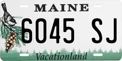 ME license plate 6045SJ