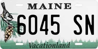 ME license plate 6045SN