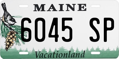 ME license plate 6045SP
