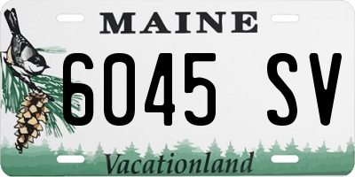 ME license plate 6045SV