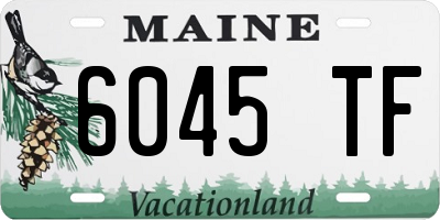 ME license plate 6045TF