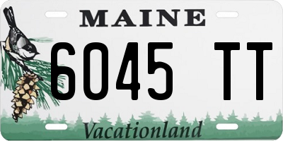 ME license plate 6045TT