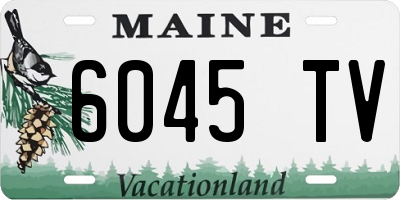 ME license plate 6045TV