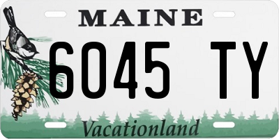 ME license plate 6045TY