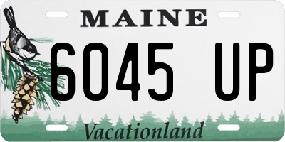 ME license plate 6045UP