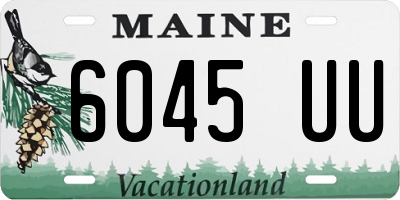 ME license plate 6045UU