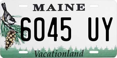 ME license plate 6045UY