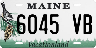 ME license plate 6045VB