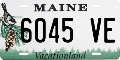 ME license plate 6045VE