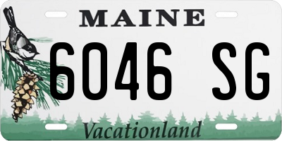 ME license plate 6046SG