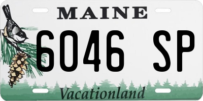 ME license plate 6046SP