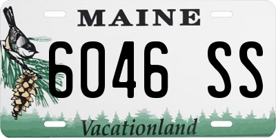 ME license plate 6046SS
