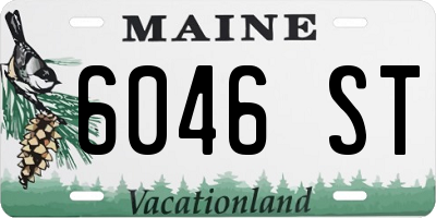 ME license plate 6046ST