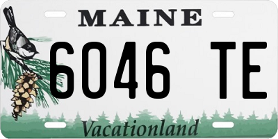 ME license plate 6046TE