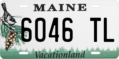 ME license plate 6046TL