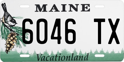 ME license plate 6046TX