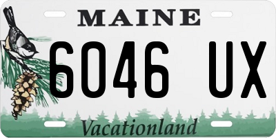 ME license plate 6046UX