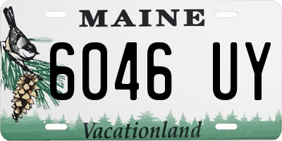 ME license plate 6046UY