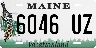 ME license plate 6046UZ