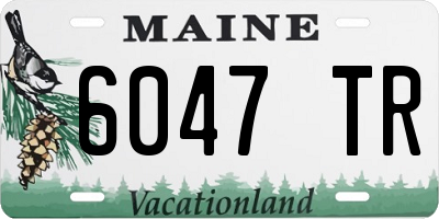 ME license plate 6047TR