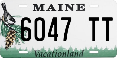 ME license plate 6047TT
