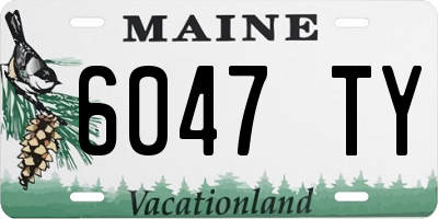 ME license plate 6047TY