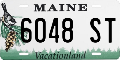 ME license plate 6048ST