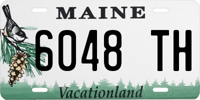ME license plate 6048TH
