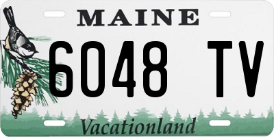 ME license plate 6048TV