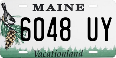 ME license plate 6048UY