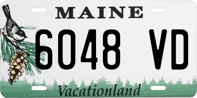 ME license plate 6048VD